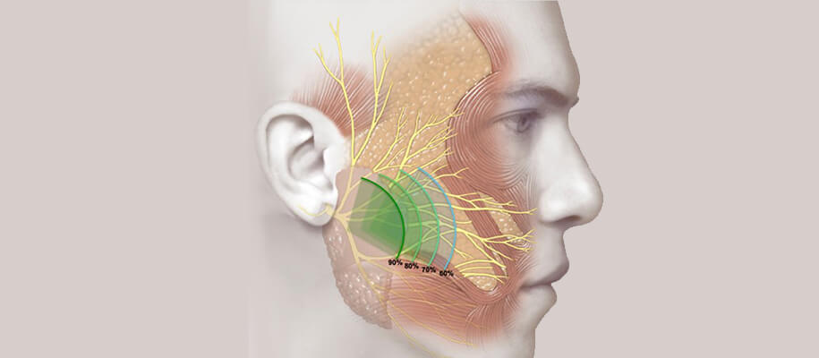How Long Does it Take for a Cross Facial Nerve Graft to Grow?